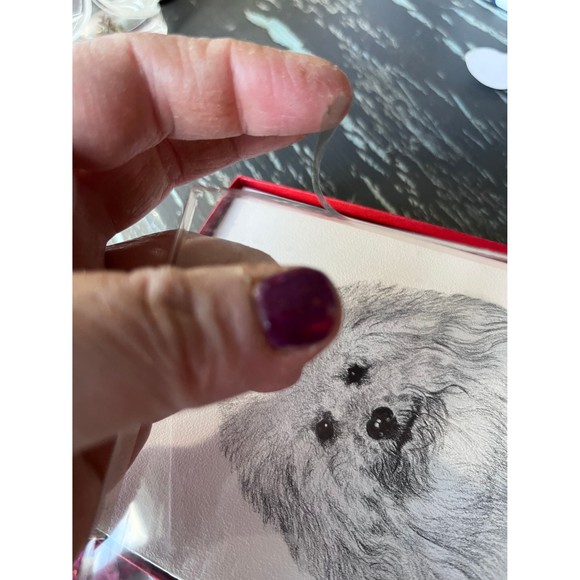 Bichon frise notecards - vintage still in box - vintage stationary - Picture 2 of 9